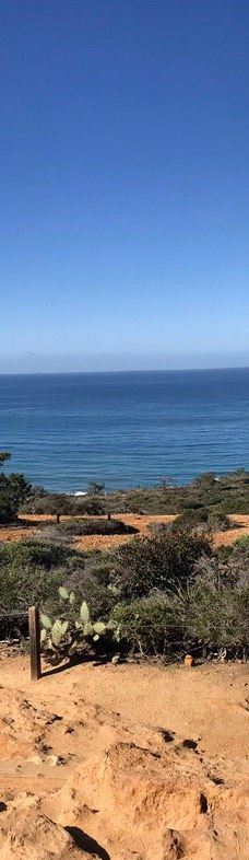 多利松国家自然保护区-佐拉