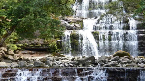 Liffey Falls