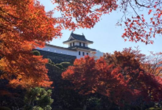 郡上八幡城景点图片