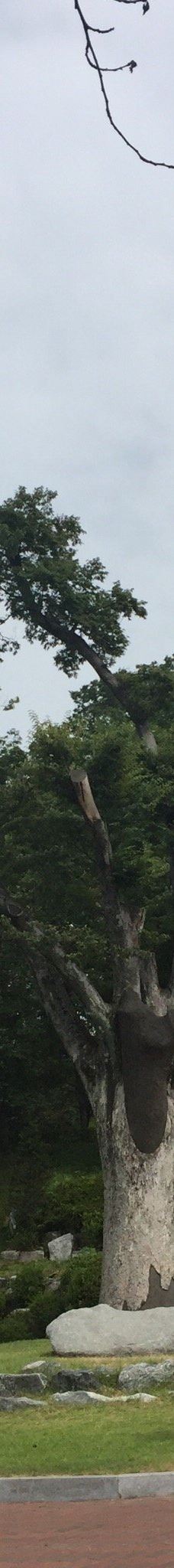 Gongseri Catholic Church-牙山市