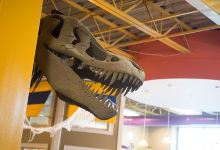 Terre Haute Childrens Museum景点图片