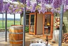 Borrodell Vineyard景点图片
