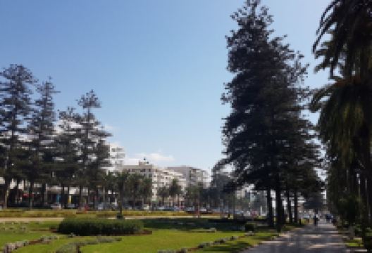 Parc des Villes Jumelees景点图片