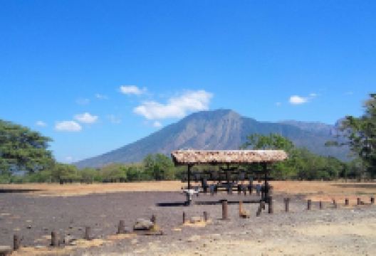 Savanna Field景点图片