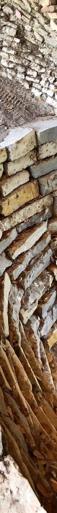 Tamtoc Archaeological Site-圣路易斯波托西州