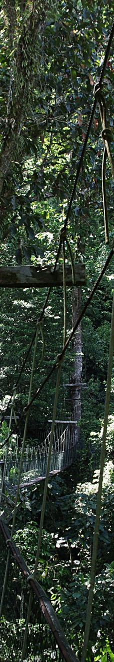 Mulu Skywalk-马鲁迪