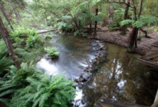 雅拉河上游水库公园景点图片