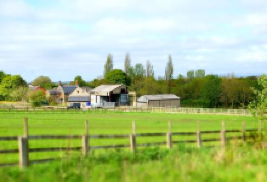 Greenslate Community Farm景点图片