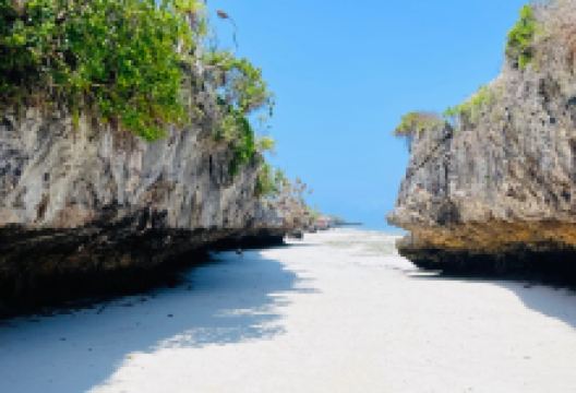 Paje Scooter Rent购物图片