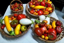 Azienda Agricola Mercuri Francesca购物图片