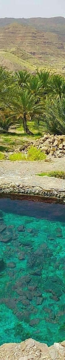 Bandarabbas Birdgarden-阿巴斯港