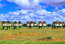 Salt Lick Safari Lodge景点图片
