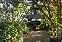 Jane Street Community Garden景点图片