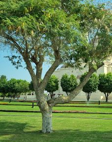 Said Bin Taimur Mosque-马斯喀特