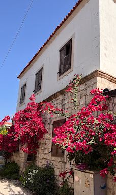 Alaçatı Değirmenleri-伊兹密尔