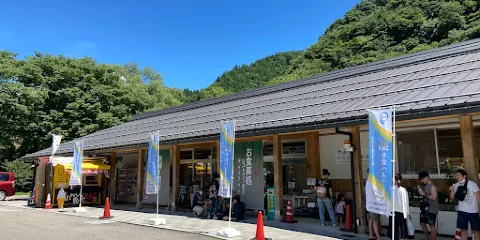 Seiryu Nagara River Ayu Park