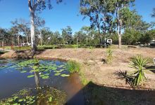 Gum Tree Lodge and Bush Camp景点图片