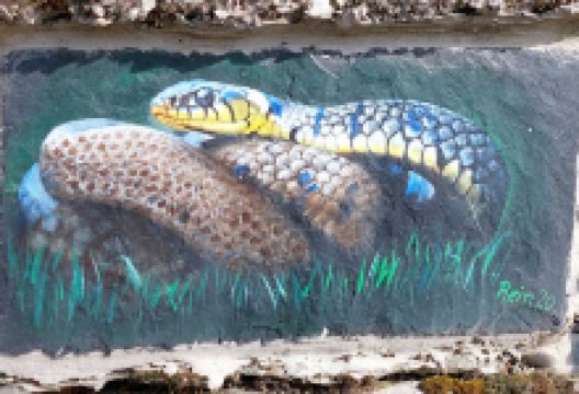 Stein & Wein Panorama - Erlebnisweg景点图片