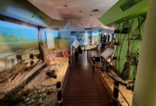 Craft Cultural Complex购物图片