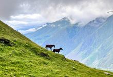 Waterfall景点图片