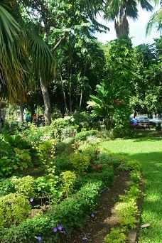 Bougainville Park-帕皮提