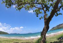 Baie de Toro景点图片