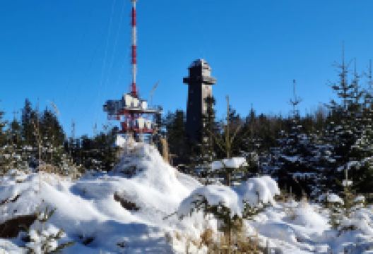 Schlossruine Zeissing景点图片