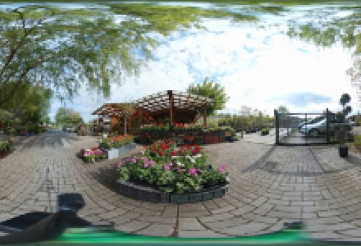 Cedar-Garden Nursery购物图片