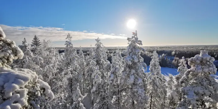 Pirulanvuori Observation Tower