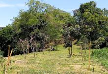 Parque Municipal Encontro das Águas景点图片