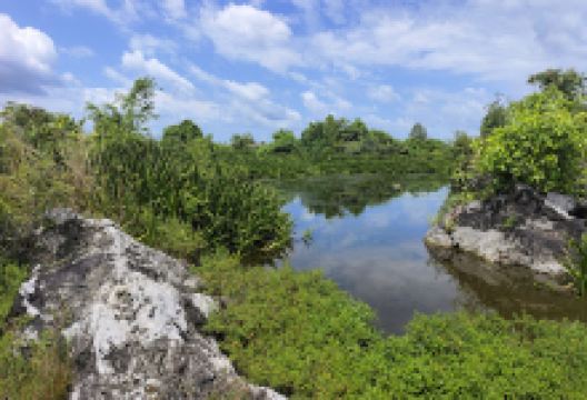 Pinnacles Kampung Changkat Tualang, Teja景点图片