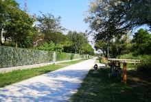 Parco Sgambamento Cani景点图片