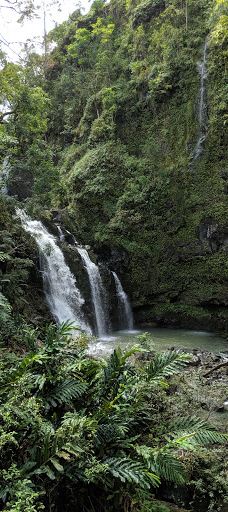 Ko'olau Forest Reserve-茂宜县