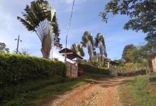 Varejonal景点图片