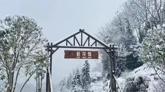 江口·桂花島