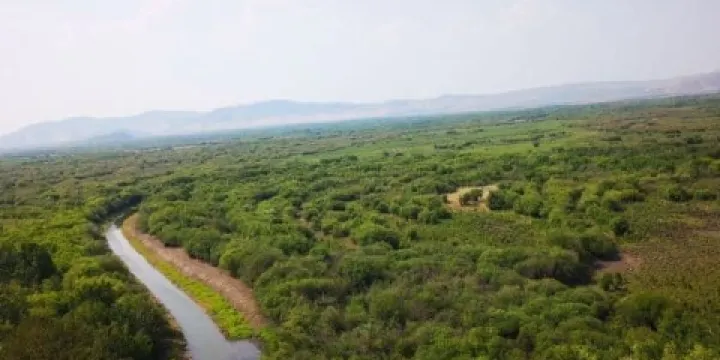 黑山頭列夫濕地莊園-觀景平台