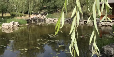 王母堖植物公園