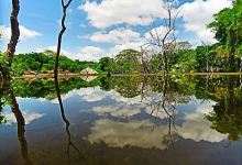 Wilandagoda Arannya景点图片