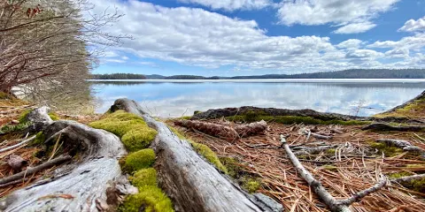West Rattlesnake Mountain