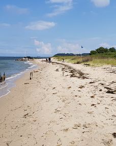 Sophiæodde-米泽尔法特