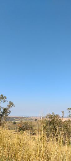 Bosque Municipal Manoel Julio De Almeida-科内利乌－普罗科皮乌