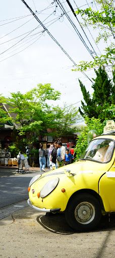汤之坪街道-由布市
