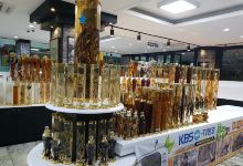 Jecheon Herb Market购物图片