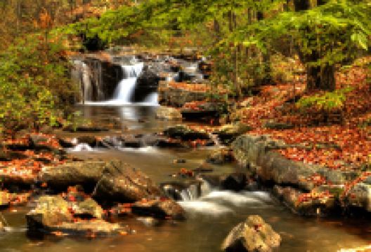 Hickory Run State Park景点图片