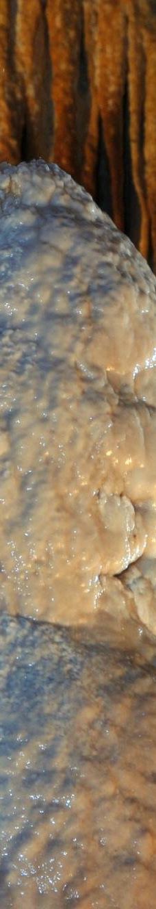 Jama - Grotta Baredine-Gedici