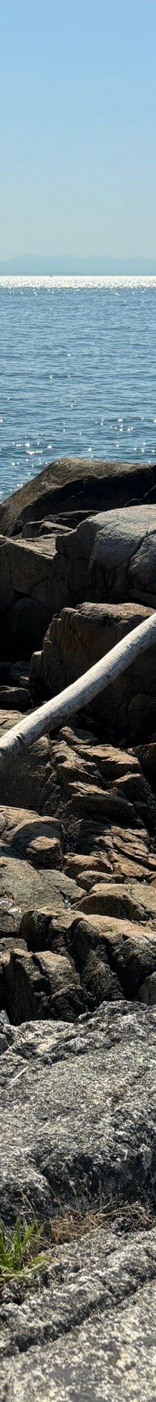 灯塔公园-西温哥华