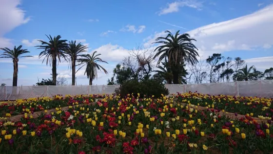 Asian Garden R-Asia