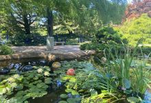 Quad City Botanical Center景点图片