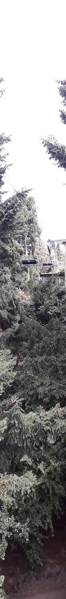 Parque Ecoturistico Cerro Viejo-圣卡洛斯-德巴里洛切