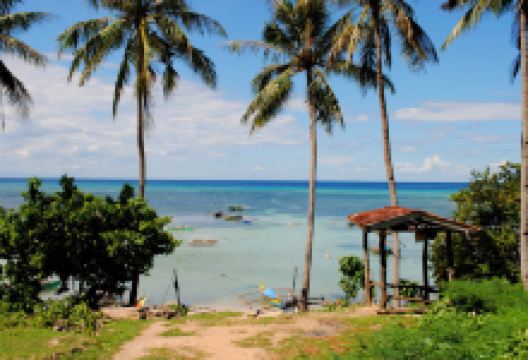 Caticugan Marine Sanctuary景点图片